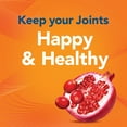 thumbnail image 4 of Joint Juice Supplement, Glucosamine and Chondroitin (8 oz. bottles, 30 pk.), 4 of 5