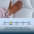thumbnail image 8 of Serta Enchanting Rest Plush Mattress, 8 of 10