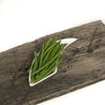 thumbnail image 5 of New World Farms Organic French Green Beans 2lbs., 5 of 9