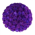 thumbnail image 2 of Member's Mark Farm Fresh Velvet Roses, choose color and stem count, 2 of 9