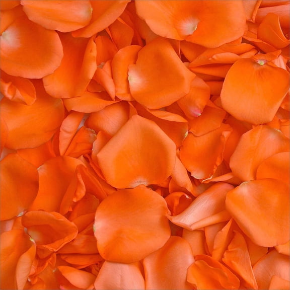 Member's Mark Fresh Rose Petals, 3000 ct., Choose color variety