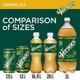 thumbnail image 4 of Vernors Ginger Soda 12 fl. oz., 24 pk., 4 of 8