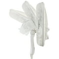 thumbnail image 3 of Lasko S18355 18″ 4 Speed Cyclone Pedestal Fan with Remote Control, 3 of 9