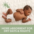 thumbnail image 7 of Member's Mark Premium Baby Diapers, Sizes Newborn - 8, 7 of 16