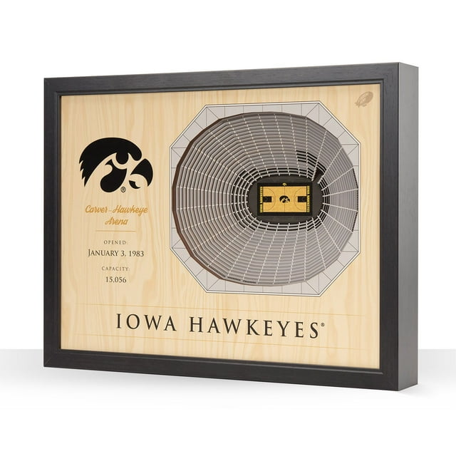 YouTheFan Iowa Hawkeyes 25-Layer Basketball Stadium View 3D Wall Art