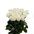 thumbnail image 3 of Member's Mark Roses, choose color variety and stem count, 3 of 7
