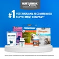 thumbnail image 11 of Nutramax Cosequin Joint Health Supplement for Cats, 55 capsules, 11 of 11