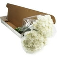 thumbnail image 4 of Member's Mark Carnations, Choose color and stem count, 4 of 7