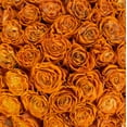 thumbnail image 5 of Member's Mark Farm Fresh Velvet Roses, choose color and stem count, 5 of 9