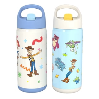 Zak Designs 14oz Double Wall Stainless Steel Siply Clutch Water Bottle, 2-Pack