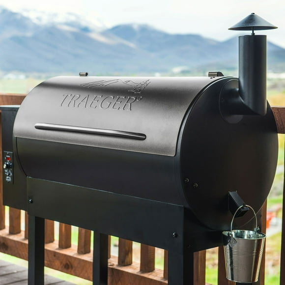 Traeger Renegade Wood Pellet Grill and Smoker w/ Cover