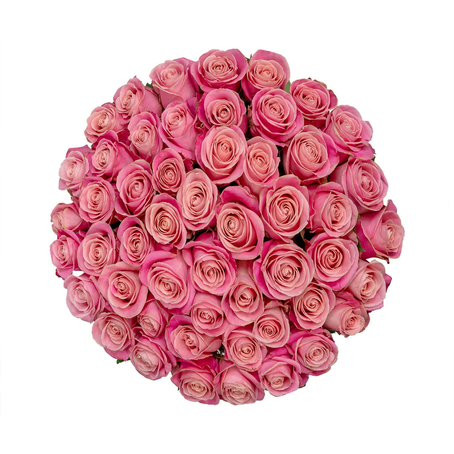 Member's Mark Ecuadorian Premium Roses, choose color variety and stem ...