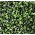 thumbnail image 1 of Select Surfaces Artificial Hedge Panels, 2-Pack, Choose Type, 1 of 7