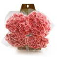 thumbnail image 4 of Member's Mark Carnations, Choose color and stem count, 4 of 7