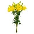 thumbnail image 7 of Member's Mark LA Hybrid Lilies, choose color and stem count, 7 of 8