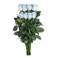 thumbnail image 6 of Member's Mark Illusion Roses, choose color and stem count:- 50, Light Blue, 6 of 8