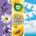 thumbnail image 11 of Air Wick Plug In Scented Oil Air Freshener Refills, Bright Citrus, 9 refills, 11 of 11
