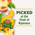 thumbnail image 5 of Del Monte Lite Sliced Peaches 105 oz., 5 of 7