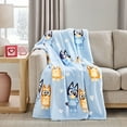 thumbnail image 1 of Adult Licensed Silk Touch Throw, 60" x 70", 1 of 5