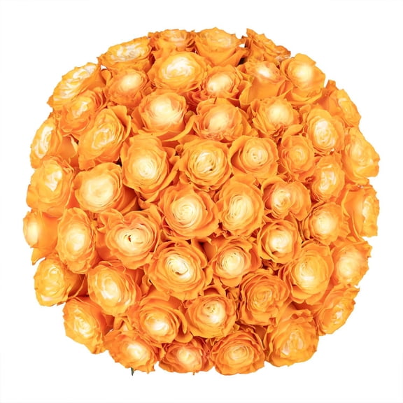 Member's Mark Illusion Roses, choose color and stem count:- 50, Orange