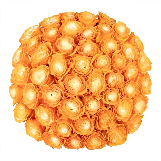 Member's Mark Illusion Roses, choose color and stem count:- 50, Orange