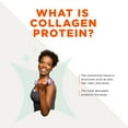 thumbnail image 4 of Bulletproof Collagen Protein, Unflavored (26 oz.), 4 of 6