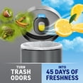 thumbnail image 3 of Febreze Trash Odor Fighter Air Freshener, Lavender and Gain Scents, 1 Holder + 6 Refills, 3 of 10