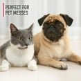 thumbnail image 3 of Hoover Pet Carpet Cleaning Solution, 3 of 6