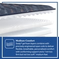 thumbnail image 5 of Sealy Modesto Medium Innerspring Mattress (Special Edition), 5 of 8