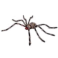 thumbnail image 3 of Member's Mark 6' Pre-Lit Oversized Spider, 3 of 5