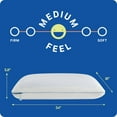 thumbnail image 10 of Sealy Dreamlife Medium Firm Gel Memory Foam Pillow, 10 of 10