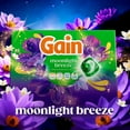 thumbnail image 5 of Gain Flings 4 in 1 Laundry Detergent Pacs, Moonlight Breeze, 152 ct., 5 of 10