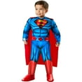thumbnail image 1 of Warner Bros Superman Muscle Chest Kids Costume, 1 of 8