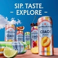 thumbnail image 4 of SanPellegrino CIAO! Rainbow Cans, 11.15 fl. oz., 24 pk., 4 of 8