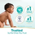 thumbnail image 5 of Pampers Sensitive Baby Wipes, Fragrance Free, 16 pks., 896 wipes, 5 of 13
