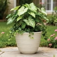 thumbnail image 6 of Member's Mark Elliot 14.5" Planter, Set of 3, 6 of 6