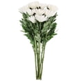 thumbnail image 3 of Member's Mark Spider Mums, choose color and stem count, 3 of 7