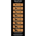 thumbnail image 3 of Member's Mark Exceed Grain-Free Dry Dog Food, Wild-Caught Salmon & Peas (30 lbs.), 3 of 9
