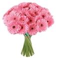 thumbnail image 2 of Member's Mark Gerbera Daisies, choose color and stem count, 2 of 8