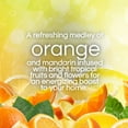 thumbnail image 4 of Air Wick Plug In Scented Oil Air Freshener Refills, Bright Citrus, 9 refills, 4 of 9