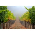 thumbnail image 3 of Sonoma-Cutrer Russian River Chardonnay (750 ml), 3 of 5