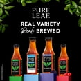 thumbnail image 4 of Pure Leaf Real Brewed Tea Raspberry Pack, 16.9 fl. oz., 18 pk., 4 of 4