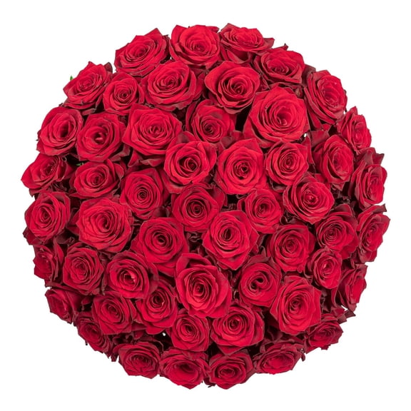 Member's Mark Ecuadorian Premium Roses, choose color variety and stem count