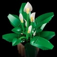 thumbnail image 4 of LEGO Botanicals Peace Lily Flower Room Decor Building Set, 474 pc., 4 of 6