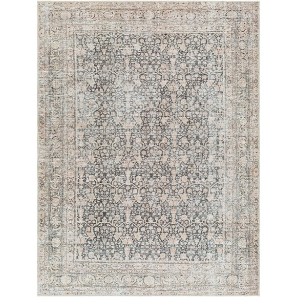 details by Becki Owens Amelie Area Rug, Assorted Designs and Sizes