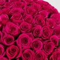 thumbnail image 8 of Member's Mark Rose Vase Arrangement, 100 stems, 8 of 12