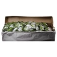 thumbnail image 6 of Member's Mark Hydrangeas, choose color and stem count, 6 of 6