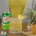 thumbnail image 5 of Canada Dry Ginger Ale Mini Can 8 fl. oz., 20 pk., 5 of 5