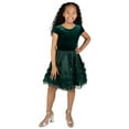 thumbnail image 1 of Rare Editions Girls Holiday Dress, 1 of 8