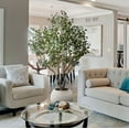 thumbnail image 4 of Faux 8' Deluxe Silver Dollar Eucalyptus Tree in Oversized Cream Pot, 4 of 6